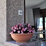 Romantic Boxavia Božava