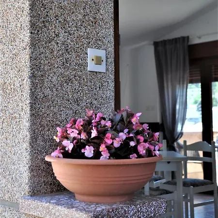 Romantic Boxavia Božava